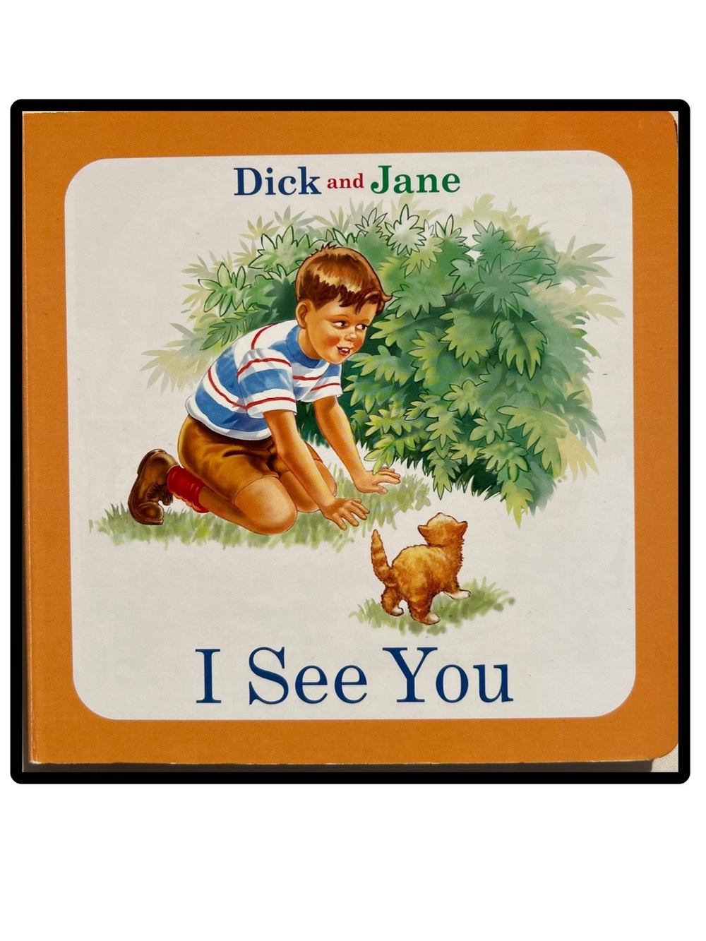 BUNDLE & SAVE 🎉Dick and Jane "I See You" Children's Board Book